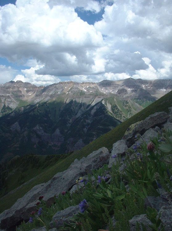 mountain greenery