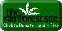 therainforestsite.com